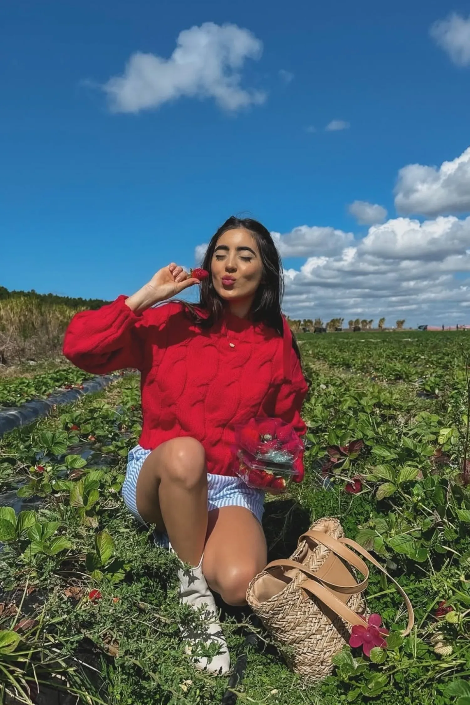 Hot Hadi Knit - Red Jumpers|Jumpers